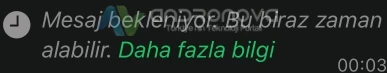 WhatsApp Mesaj Bekleniyor Bu Biraz Zaman Alabilir