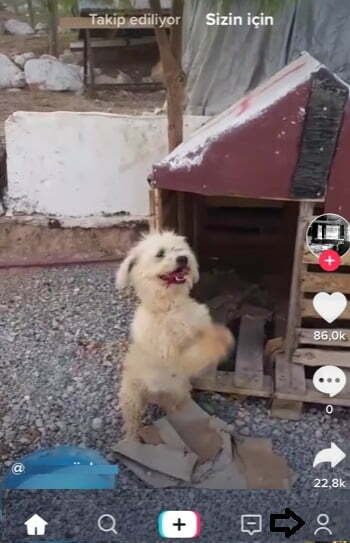 TikTok Müşteri Hizmetleri Telefon Numarası Var Mı? Tik Tok müşteri hizmetleri sorun bildirimi