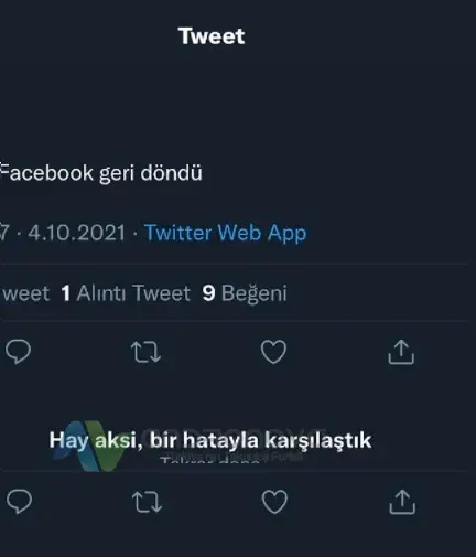Twitter hay aksi bir hatayla karşılaştık