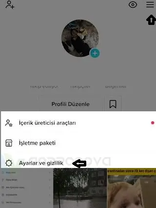 TikTok videomu kimin beğendiğini göremiyorum 