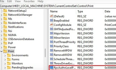 Windows 11 Yazıcıya Bağlanamıyor 0x000011b Hatası