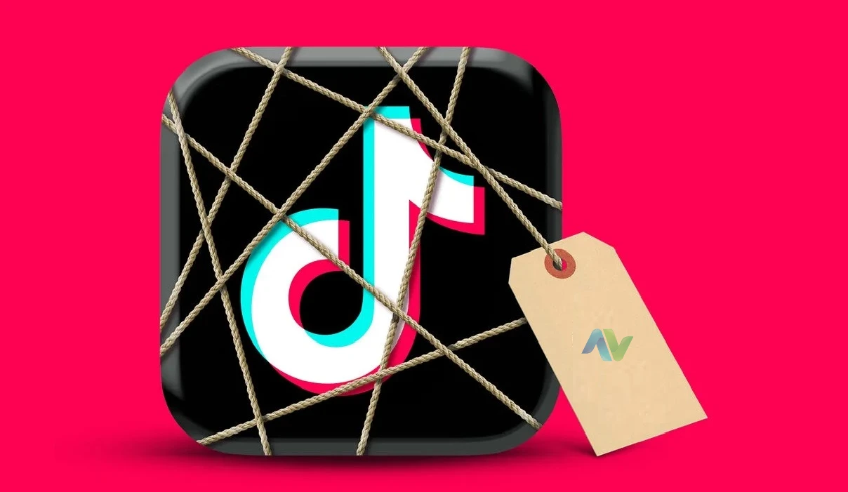 TikTok hizmetler kullanılamıyor ne demek